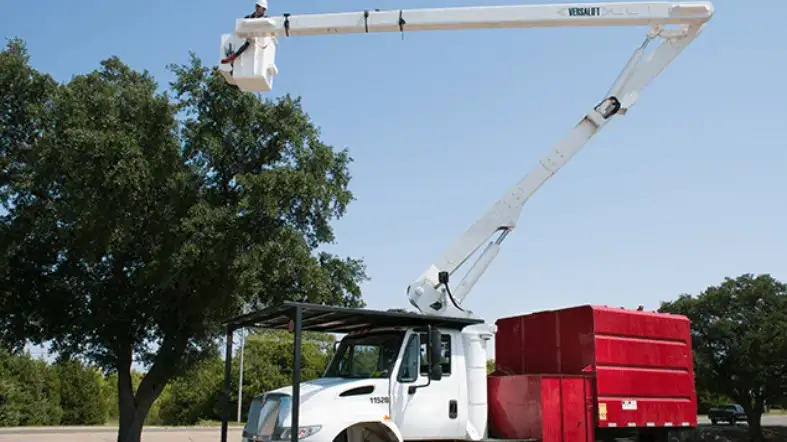 How To Find The Best Deal On A Tree-Trimming Bucket Truck Rental
