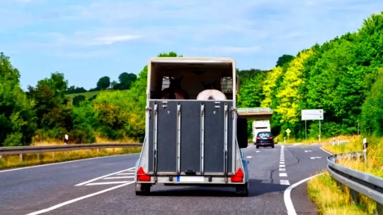 How To Prepare Your Trip With U-Haul Horse Trailer Rentals